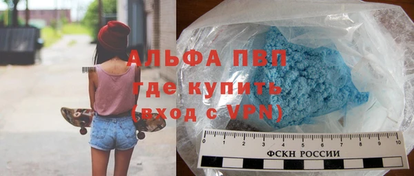 стаф Надым