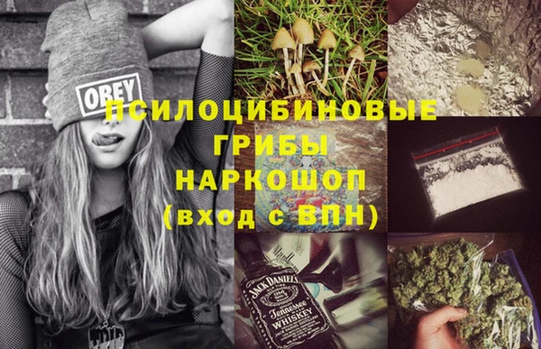 стаф Надым