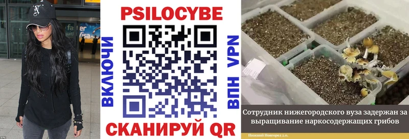 Галлюциногенные грибы MAGIC MUSHROOMS  это клад  Болотное  наркошоп  блэк спрут рабочий сайт 